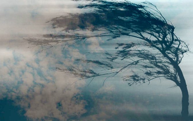 В районах объявлен желтый уровень погодной опасности