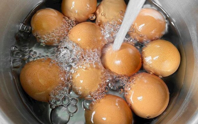 Gündə nə qədər protein qəbul etməliyik?