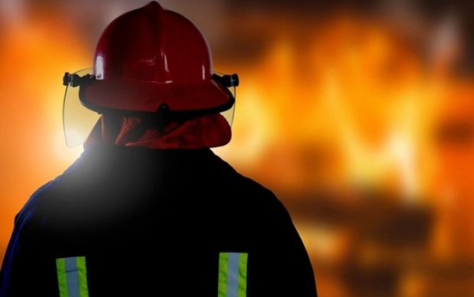 В Исмаиллы загорелась зона отдыха-ВИДЕО