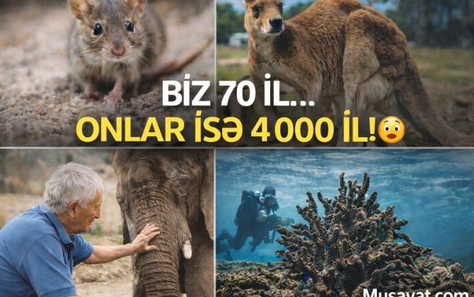 Biz 80 il, onlar isə 4000 il yaşayırlar - heyrətamiz məlumatlar