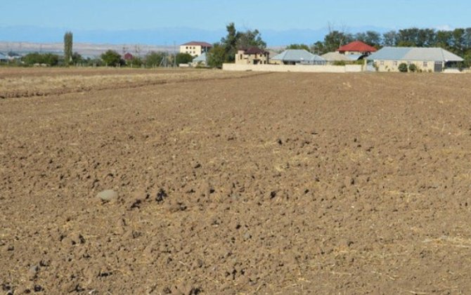 Bələdiyyələrin qanunsuz torpaq sahələrini mülkiyyətə verməsi halları müəyyənləşib