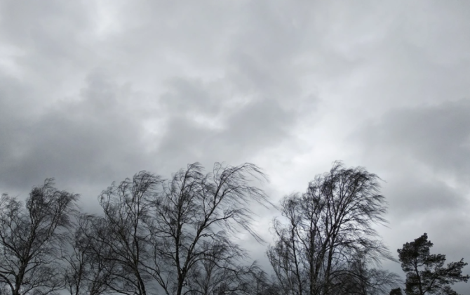 Sabah Azərbaycanda külək güclənəcək - XƏBƏRDARLIQ