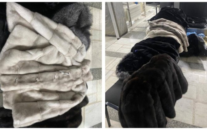 Азербайджанские таможенники пресекли контрабанду изделий из меха и кожи