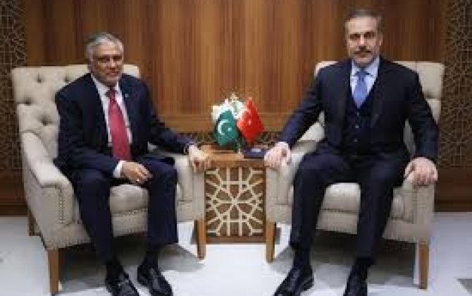 Главы МИД Турции и Пакистана обсудили региональные вопросы