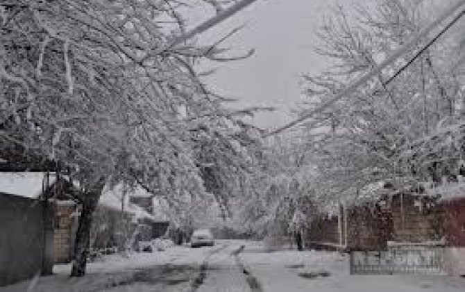 Сильный снегопад привел к серьезным последствиям в Джалилабаде и Билясуваре