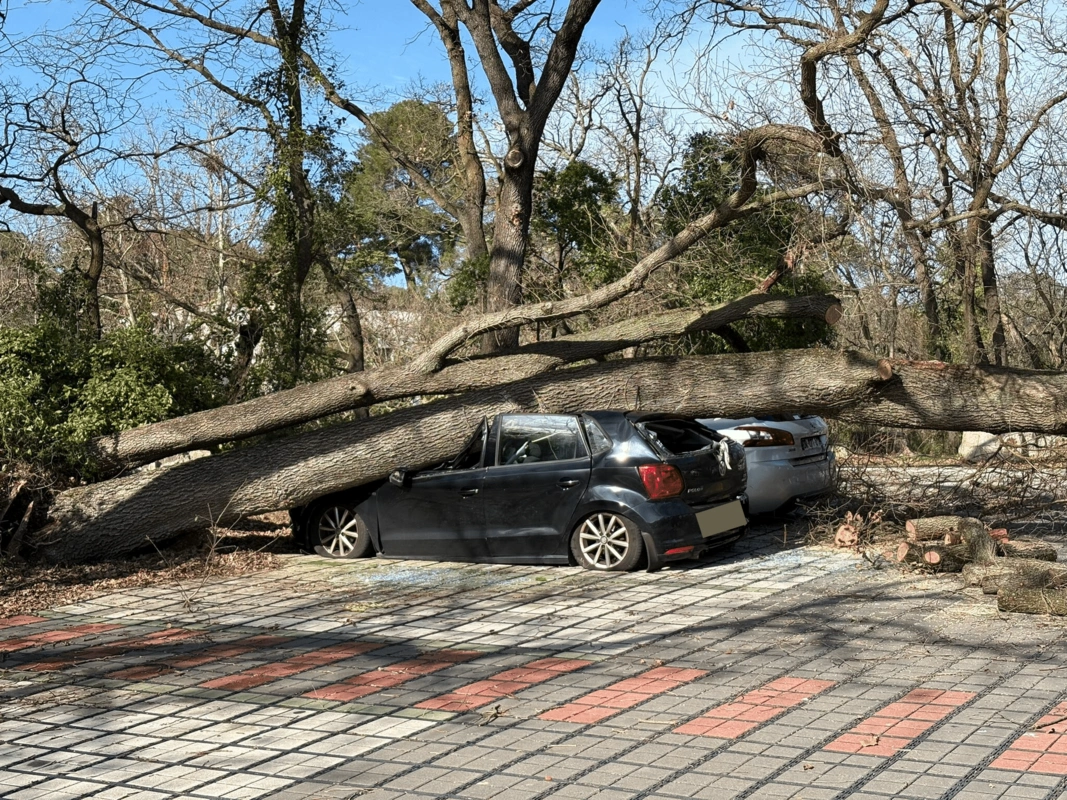 Во Франции порядка 850 000 домохозяйств остались без электричества из-за шторма