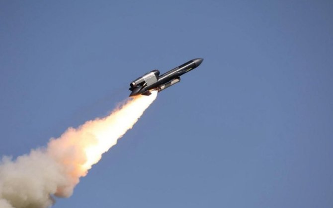 Минобороны России впервые подтвердило удары украинскими ракетами «Фламинго»