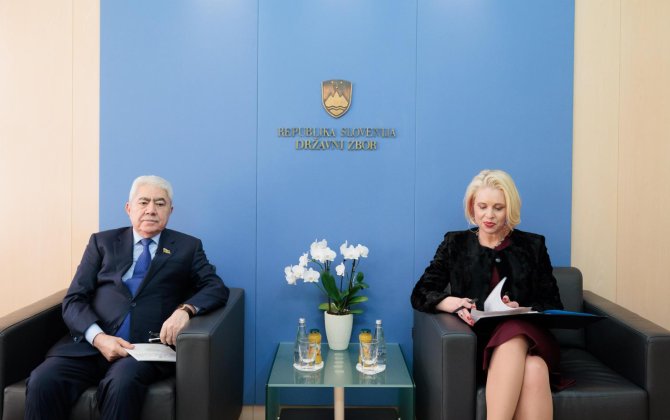 Ağalar Vəliyevin rəhbərlik etdiyi parlament nümayəndə heyəti Sloveniya Respublikasına səfər edib - FOTO
