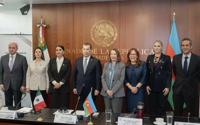 Milli Məclisin deputatları Meksika Senatının sədri ilə görüşüb - FOTO