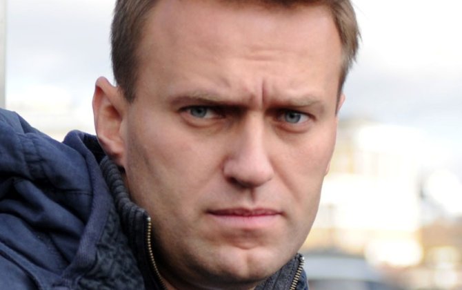 Пять стран заявили, что Навального убили ядом лягушки