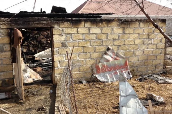 В Гяндже при пожаре погибли десятки породистых птиц