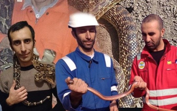 “Zəhərli ilanlara məni dişləməyə şans verməmişəm, qonşular biləndə ki evimdə ilan saxlayıram...” - FOTO+ÖZƏL