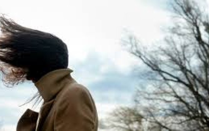 Синоптики предупредили об усилении ветра в Баку