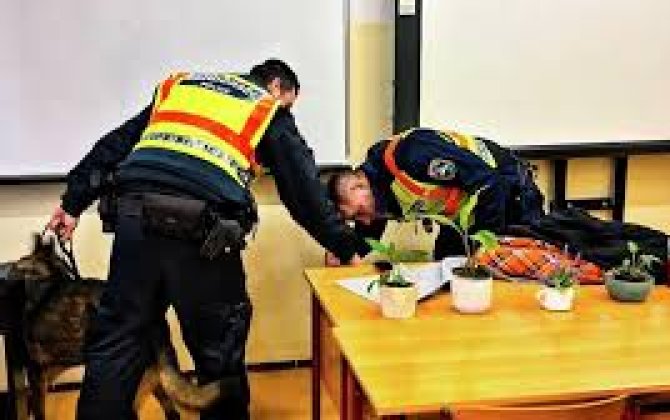 На западе Индии 28 школ получили письма с угрозами взрыва