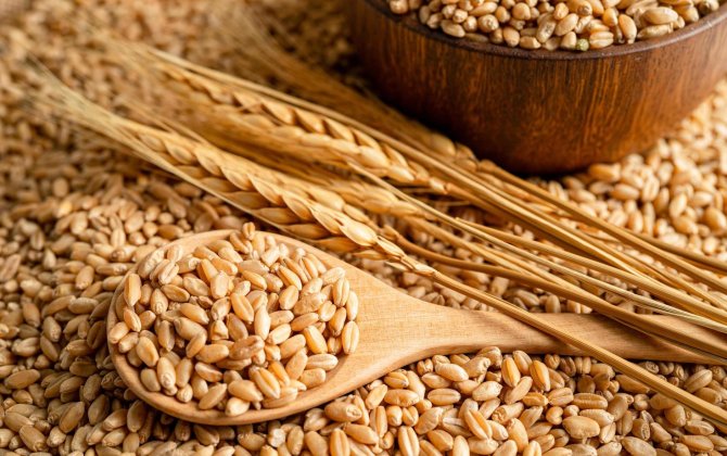 Азербайджан увеличил импорт пшеницы на 50%