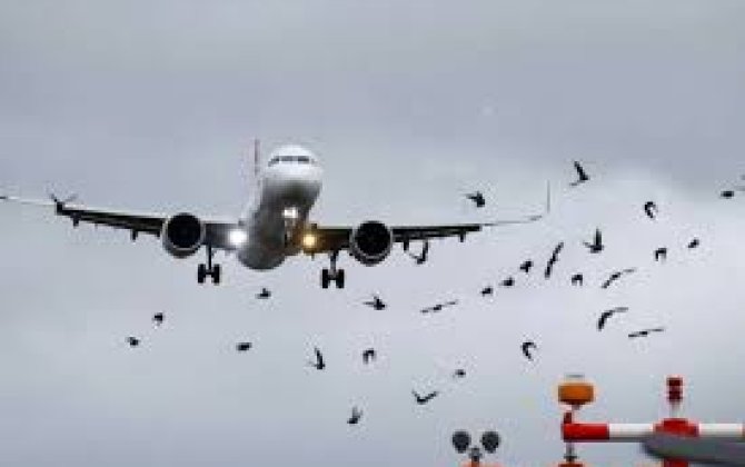 Италия одобрила пролет самолета российской делегации на пути в Женеву