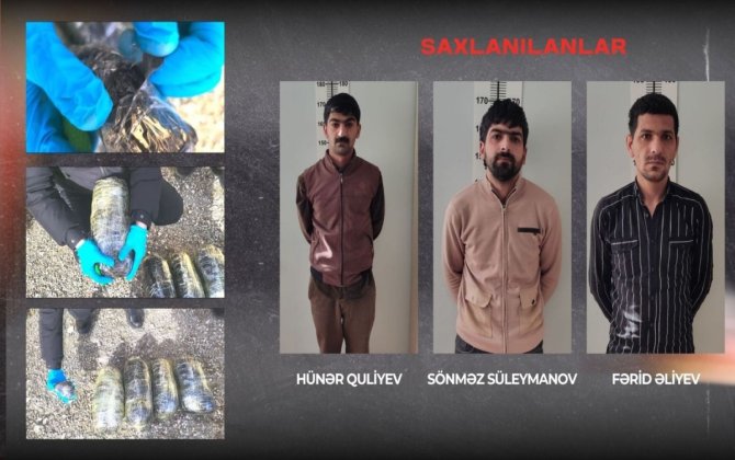 Qobustanda 4 kq narkotik aşkarlanıb - VİDEO