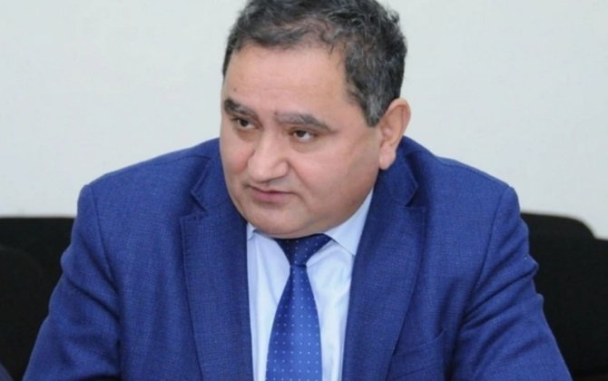 İnfokratiya... Memlər və termitlər - Etibar Əliyev xaricdəki blogerlərdən yazdı