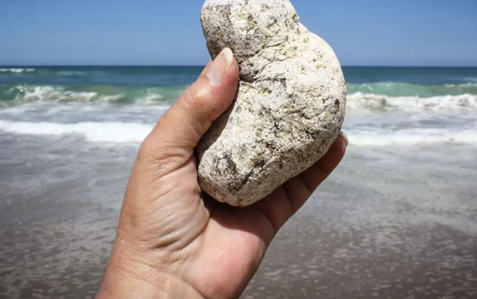 Adi bir daş kimi görünür, sahildə tapan varlanır - FOTO