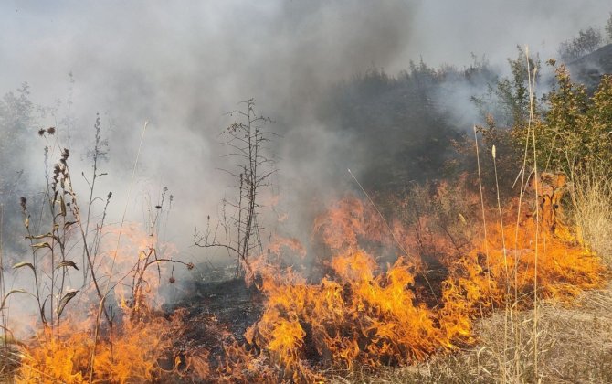 Şəkidə dağlıq ərazidə yanğın başlayıb