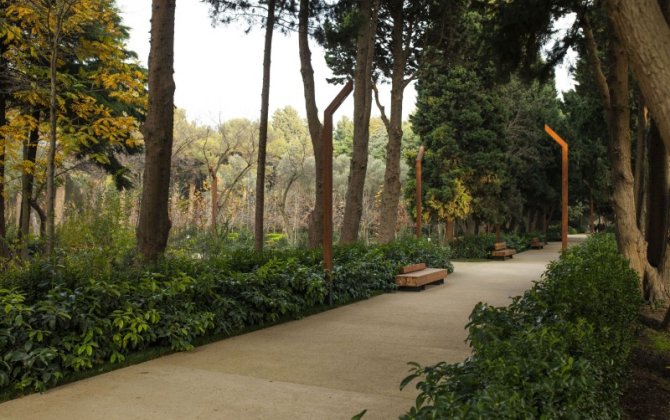 BŞİH-in tabeliyində “Mərkəzi Nəbatat və Dendrologiya Bağı” MMC yaradılır