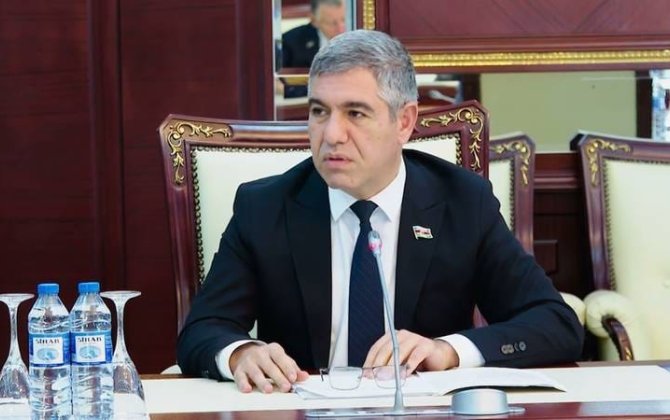 Xaricdəki anti-milli ünsürlərin fəaliyyətinə deputatdan sərt reaksiya