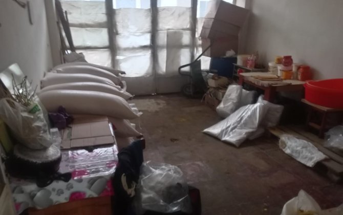 Göygöldə 10 şagirdin məktəbdə zəhərlənməsi ilə bağlı məsələyə aydınlıq gətirilib - FOTO