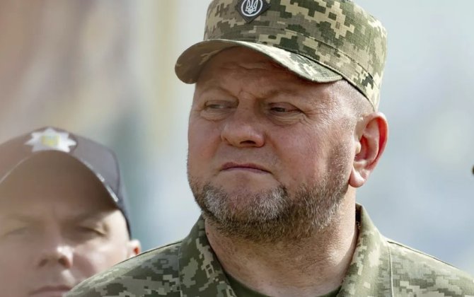 Залужный сравнил подготовку Украины к войне с боем против Тайсона