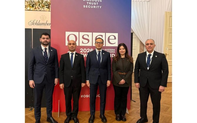 TÜRKPA müşahidəçi statusu almaq üçün sənədləri yaxın günlərdə ATƏT PA-ya göndərəcək - FOTO