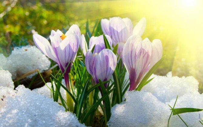 Azərbaycanda boz ay BAŞLADI