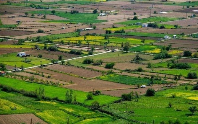 Bələdiyyədən alınan torpaqlarla bağlı VACİB AÇIQLAMA