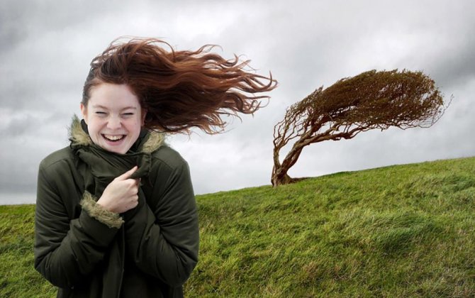 Синоптики сделали предупреждение в связи с ветреной погодой