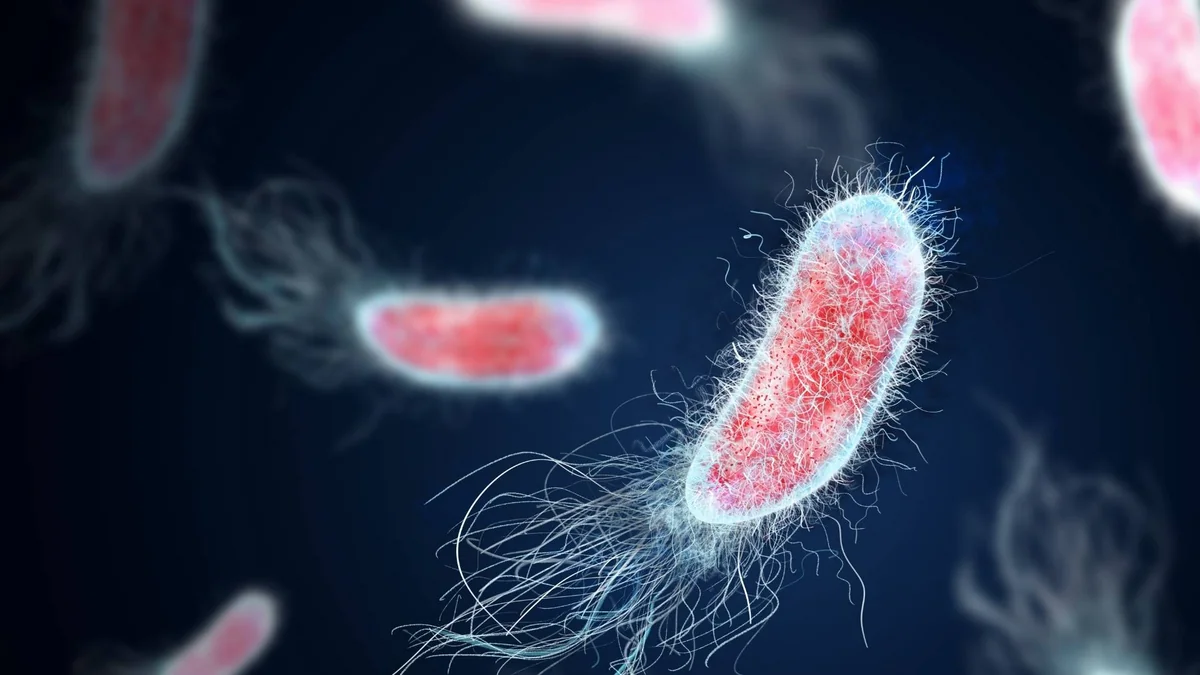 Təkrarlanan infeksiyalar nədən xəbər verir? - VİDEO