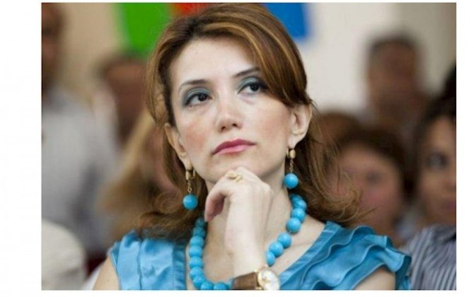 В связи с уголовным делом Рамиза Мехдиева проведен обыск в доме Гюльтекин Гаджибейли