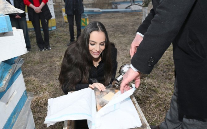 Leyla Əliyeva Qubada arıçı ailəsinin qonağı oldu - FOTOLAR