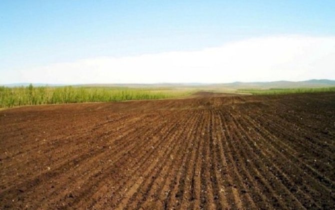 Ötən il Qarabağda torpaqların icarəsi ilə bağlı 6 müraciətə razılıq verilib