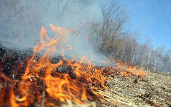 İmişlidə qamışlıq ərazi yanır