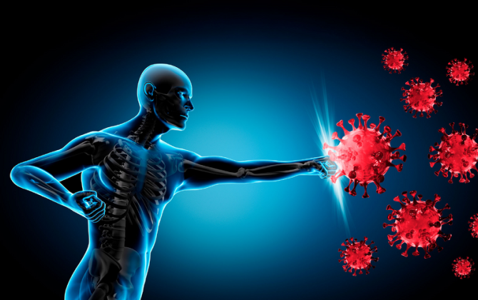 İmmun sistemi barədə 5 ən böyük mif və real tibbi həqiqətlər – Səhiyyə Nazirliyinin mütəxəssis-eksperti izah edir