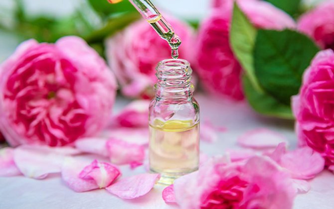 30 gün gül yağı qoxlayın, faydası çoxdur