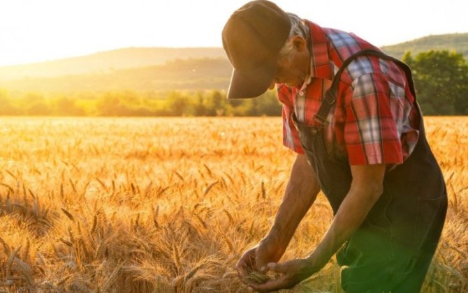 Bu şəxslərə ödənilən məbləğin yuxarı həddi artırıldı