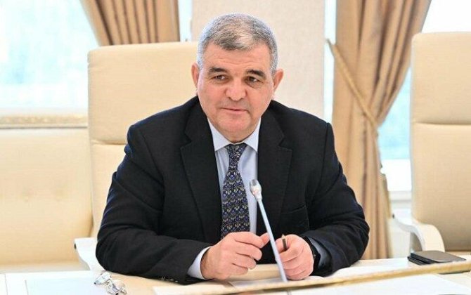 “Rusiyadakı azərbaycanlıların müdafiəsi çətinləşir” – Komitə sədri