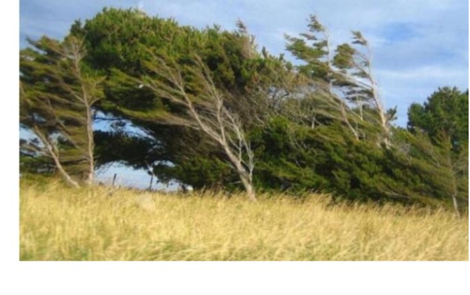 В Азербайджане усилится ветер