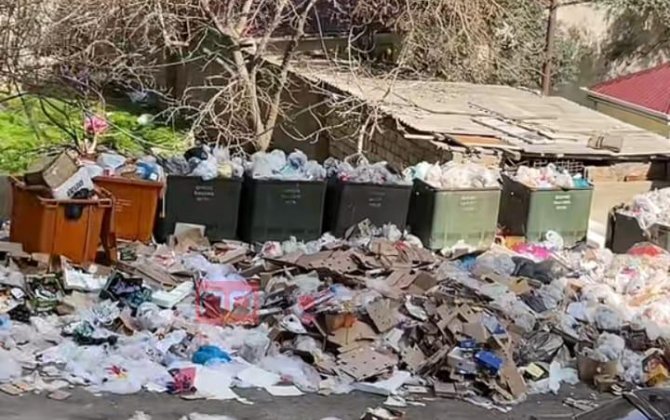 Məşhur restoranın ətrafında antisanitariya: Zibillər günlərlə daşınmr, ətrafa üfunət yayılır – VİDEO