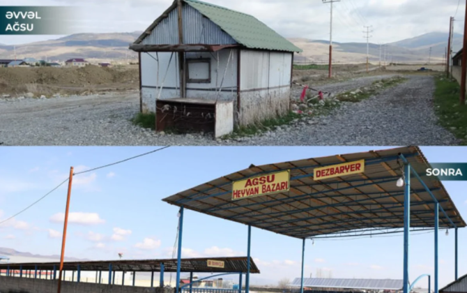 Masallı və Ağsuda heyvan bazarları açılıb