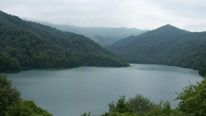 Su obyektlərindən xüsusi istifadə növləri təsdiqləndi