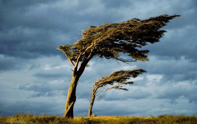 В стране ожидается сильный ветер