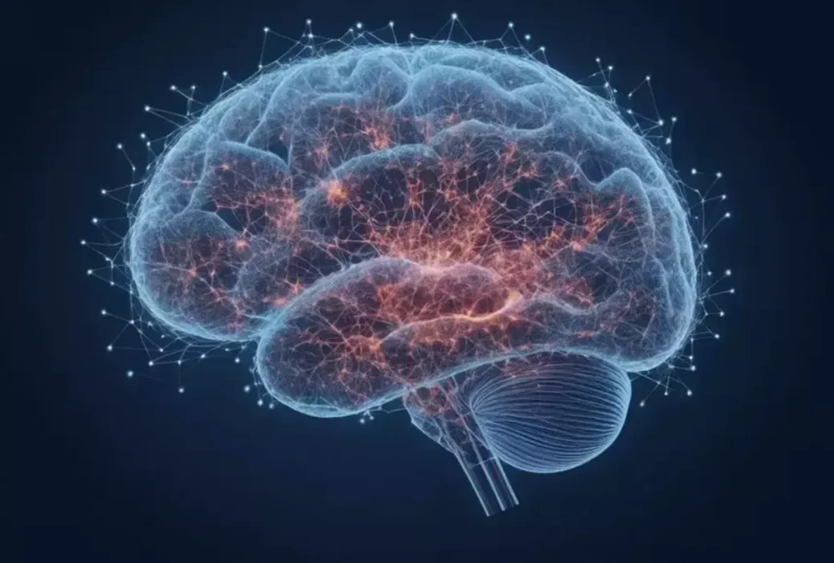 Çində neyrointerfeyslərin 3-5 il ərzində geniş tətbiqi proqnozlaşdırılır