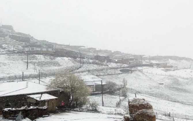 Bəzi ərazilərə qar yağır - FAKTİKİ HAVA