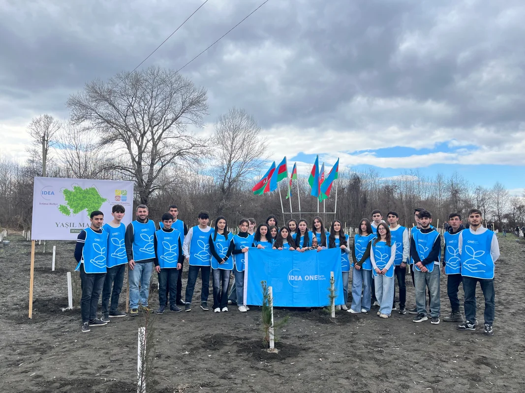 IDEA Zaqatalada kütləvi ağacəkmə aksiyası təşkil edib - FOTO