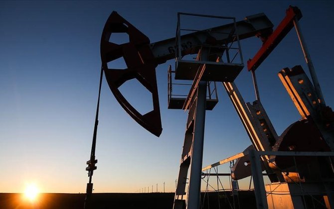 Цены на нефть возобновили рост
